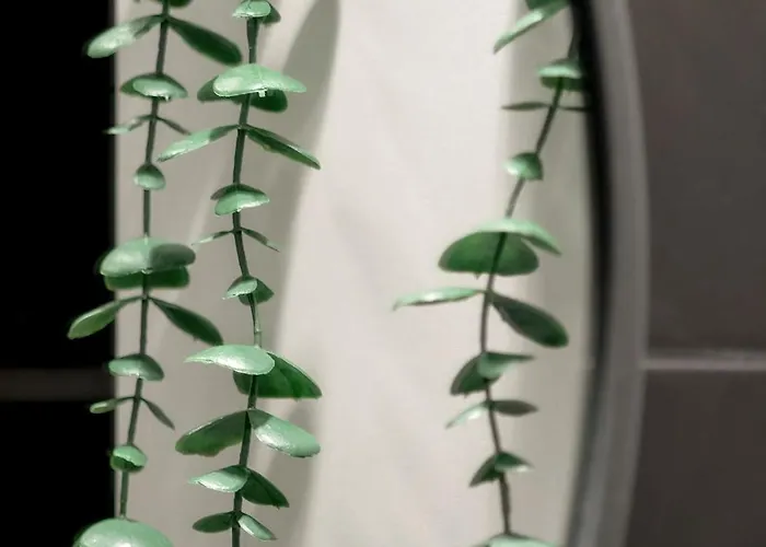 Black And White Close To Manufaktura By Renters