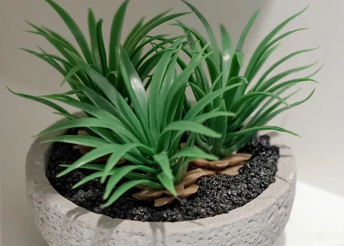 Black And White Close To Manufaktura By Renters *